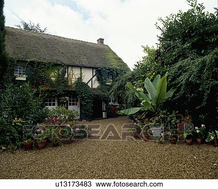 Stock Image - Plants in pots on gravel drive in front of country house in summer. Fotosearch