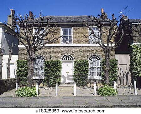 Stock Photo - Pollarded trees on paving in front of traditional Victorian town house. Fotosearch
