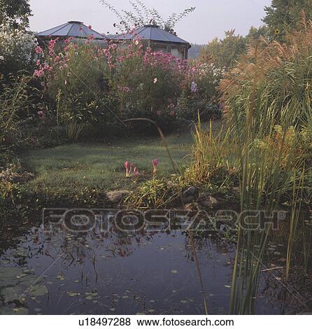 Pond in country garden in summer View Large Photo Image Stock Photo - Pond in country garden in summer. Fotosearch