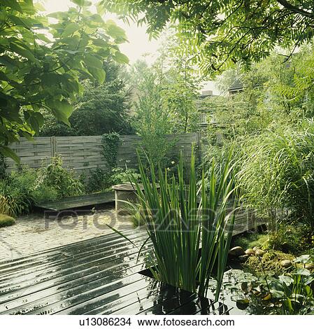 Pond with decking and water plants in town garden View Large Photo Image Picture - Pond with decking and water plants in town garden. Fotosearch