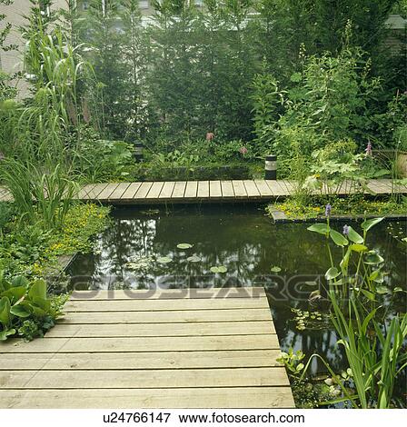 Pond with decking and water plants in town garden View Large Photo Image Stock Photo - Pond with decking and water plants in town garden. Fotosearch