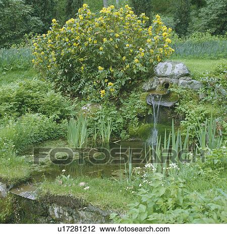 Stock Image - Pond with waterfall in country garden. Fotosearch