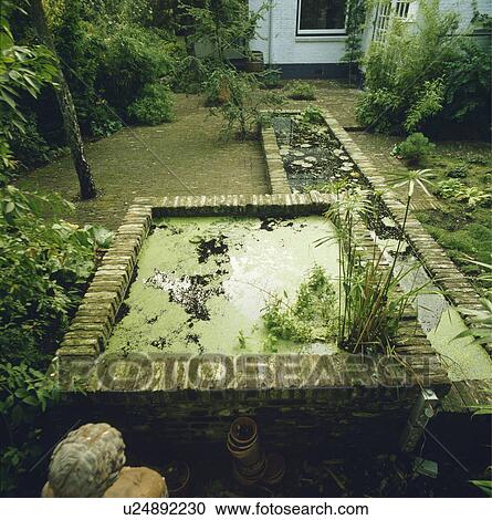 Raised pond in town garden View Large Photo Image Stock Image - Raised pond in town garden. Fotosearch