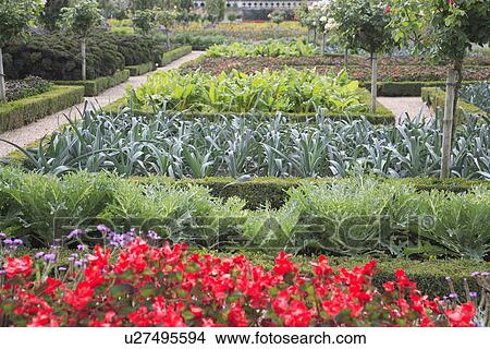 Picture - red, beds, formal, gardens. Fotosearch