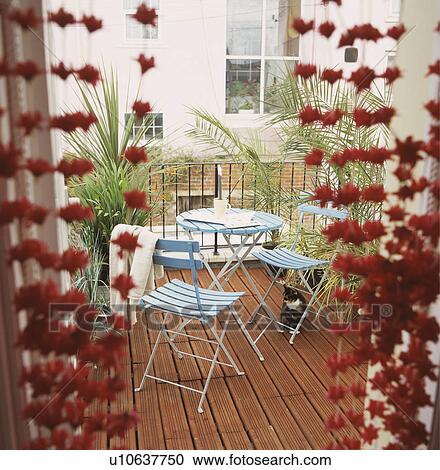 Red flower curtain on balcony with blue chairs on wooden decking View Large Photo Image Stock Image - Red flower curtain on balcony with blue chairs on wooden decking. Fotosearch