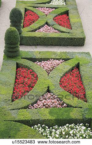Stock Image - red, topiary, hedges, formal, beds, gardens. Fotosearch