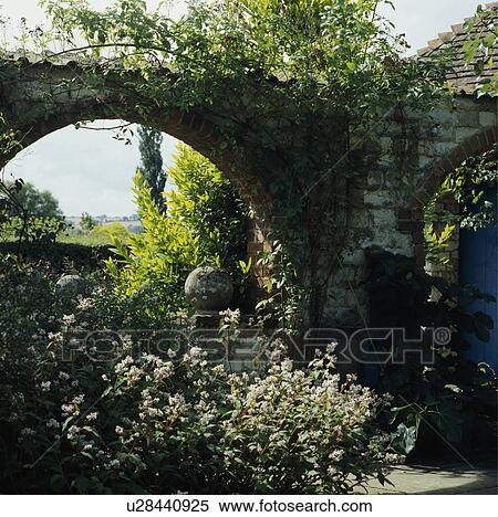 Rose arch in country garden in summer View Large Photo Image Stock Photography - Rose arch in country garden in summer. Fotosearch