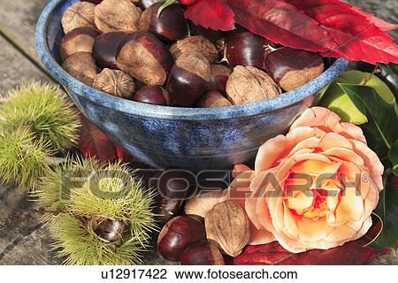 Stock Image - roses, food, fruit, harvest. Fotosearch