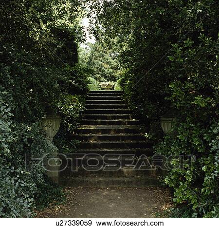 Shady stone steps in country garden in summer View Large Photo Image Stock Photo - Shady stone steps in country garden in summer. Fotosearch