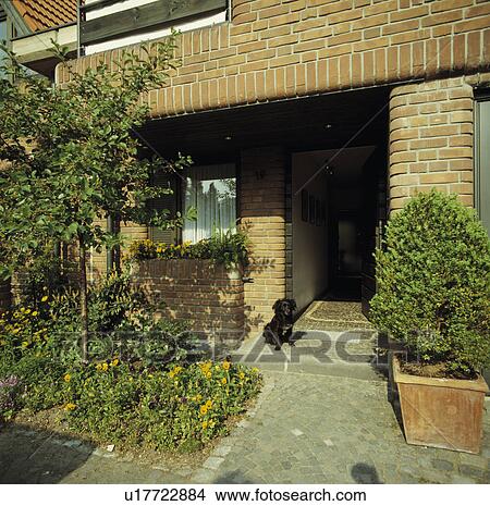 Shrub in pot in front of modern townhouse View Large Photo Image Picture - Shrub in pot in front of modern townhouse. Fotosearch