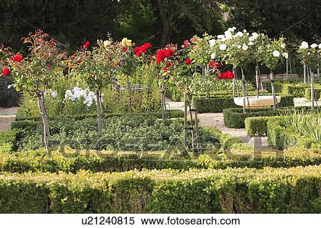 shrubs, trees, formal, gardens View Large Photo Image Stock Photography - shrubs, trees, formal, gardens. Fotosearch