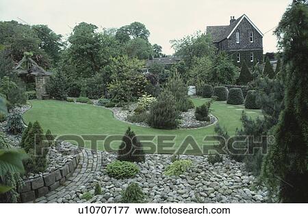Small conifers and pebble paving in country garden with curved lawn View Large Photo Image Stock Photo - Small conifers and pebble paving in country garden with curved lawn. Fotosearch