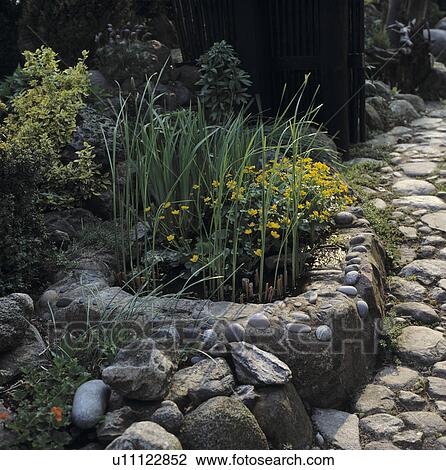 Small raised pond in country garden View Large Photo Image Stock Image - Small raised pond in country garden. Fotosearch