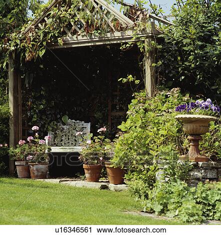 Small shrubs in pots in country garden View Large Photo Image Stock Image - Small shrubs in pots in country garden. Fotosearch