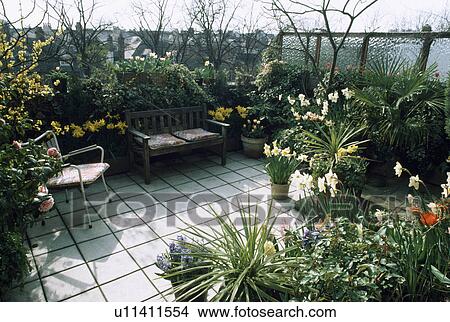 Small town roof garden in spring with daffodils and tulips in pots View Large Photo Image Picture - Small town roof garden in spring with daffodils and tulips in pots. Fotosearch