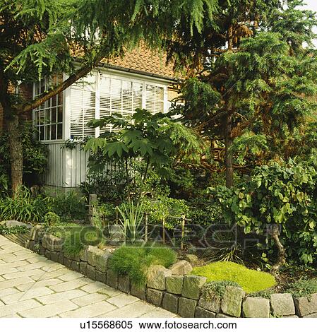 Stock Photography - Small trees and shrubs in oriental-stye raised garden border. Fotosearch