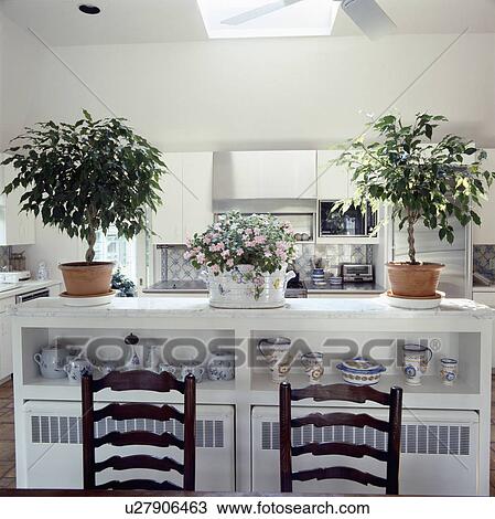 Stock Image - Small trees in terracotta pots on white cupboard with crockery on shelves above radiators. Fotosearch