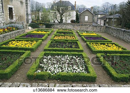 Small walled courtyard with a grid of square box edged beds filled with violas. View Large Photo Image Picture - Small walled courtyard with a grid of square box edged beds filled with violas.. Fotosearch