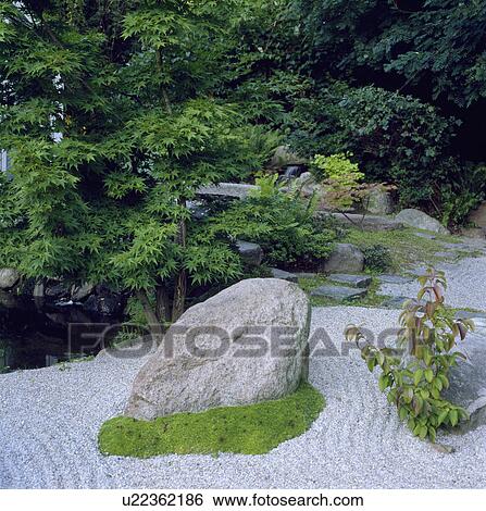 Smooth rock in raked gravel in oriental-style garden with large Acer View Large Photo Image Stock Photograph - Smooth rock in raked gravel in oriental-style garden with large Acer. Fotosearch