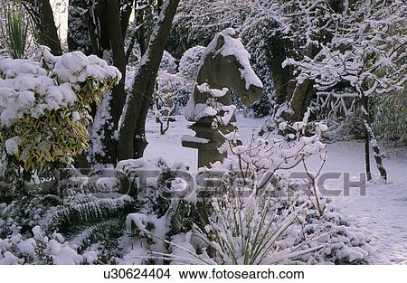 Snow in country garden in winter View Large Photo Image Picture - Snow in country garden in winter. Fotosearch