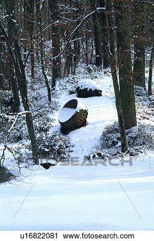 Stock Image - Snow in woodland garden with sculpture in winter. Fotosearch
