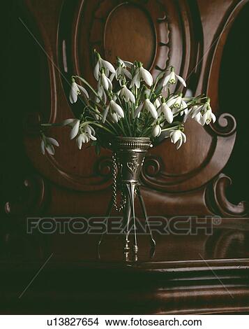 Spring floral arrangement of white snowdrops in small silver stemmed vase View Large Photo Image Picture - Spring floral arrangement of white snowdrops in small silver stemmed vase. Fotosearch