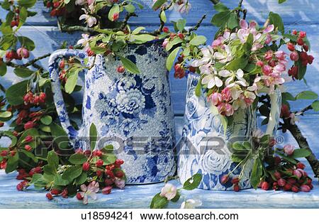 Still-Life of apple blossom View Large Photo Image Stock Image - Still-Life of apple blossom. Fotosearch