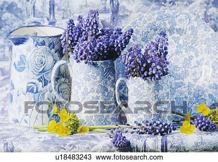 Still-Life of blue+white jugs and muscari View Large Photo Image Stock Image - Still-Life of blue+white jugs and muscari. Fotosearch