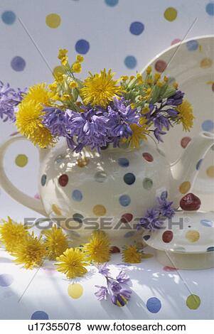 Still-Life of flowers in spotted teapot View Large Photo Image Stock Photo - Still-Life of flowers in spotted teapot. Fotosearch