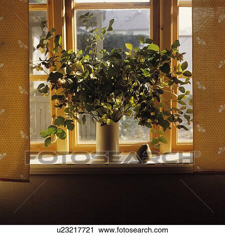 Still-Life of leaves in vase on windowsill View Large Photo Image Stock Image - Still-Life of leaves in vase on windowsill. Fotosearch