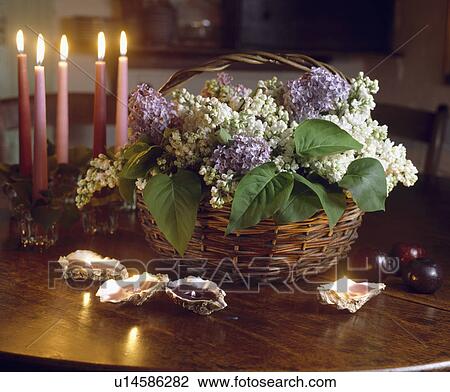 Still-Life of lilac in basket View Large Photo Image Stock Image - Still-Life of lilac in basket. Fotosearch