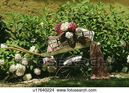Still-life of old wheelbarrow View Large Photo Image Picture - Still-life of old wheelbarrow. Fotosearch
