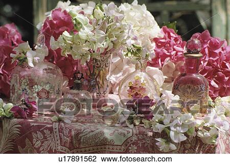 Stock Image - Still-life of pink and white sweetpeas. Fotosearch
