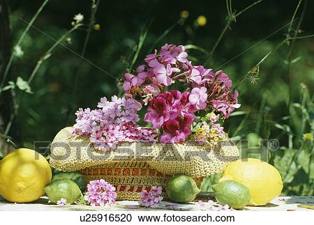 Stock Image - Still-life of pink flowers and lemons. Fotosearch