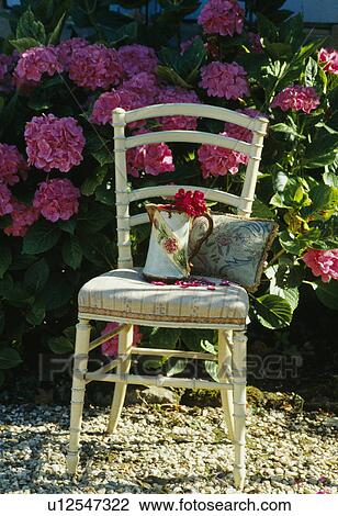 Still-life of pink flowers in jug View Large Photo Image Stock Image - Still-life of pink flowers in jug. Fotosearch