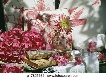Still-Life of pink hydrangeas View Large Photo Image Stock Photograph - Still-Life of pink hydrangeas. Fotosearch