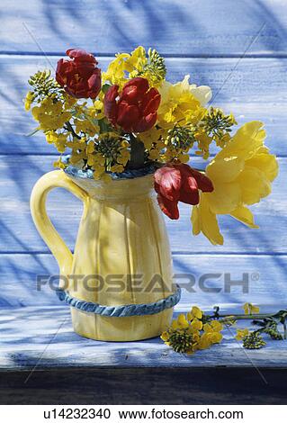 Still-Life of red and yellow tulips in yellow jug View Large Photo Image Stock Image - Still-Life of red and yellow tulips in yellow jug. Fotosearch
