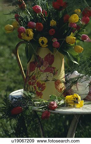 Stock Photo - Still-Life of red and yellow tulips in yellow jug. Fotosearch