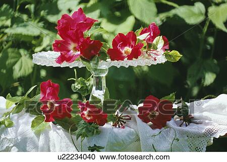 Stock Image - Still life of red roses. Fotosearch