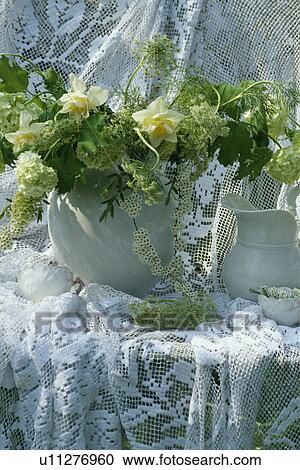 Still-Life of white jugs and flowers View Large Photo Image Stock Image - Still-Life of white jugs and flowers. Fotosearch