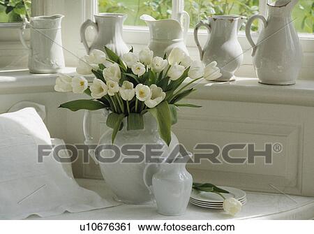Still-Life of white jugs and tulips View Large Photo Image Stock Image - Still-Life of white jugs and tulips. Fotosearch