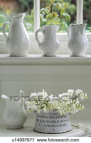 Still-life of white jugs and white flowers View Large Photo Image Stock Photo - Still-life of white jugs and white flowers. Fotosearch