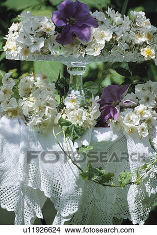 Still-Life of white roses View Large Photo Image Picture - Still-Life of white roses. Fotosearch