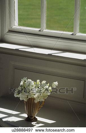 Stock Photo - Still-Life of white sweetpeas in vase. Fotosearch