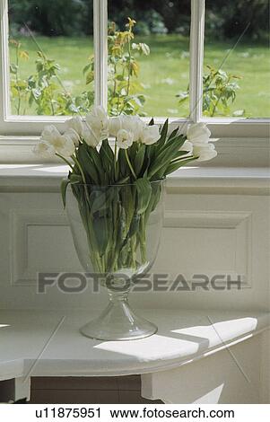Still-Life of white tulips in vase View Large Photo Image Stock Image - Still-Life of white tulips in vase. Fotosearch