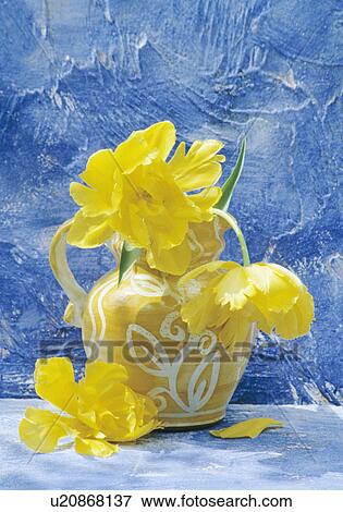 Still-Life of yellow tulips in yellow jug View Large Photo Image Stock Photo - Still-Life of yellow tulips in yellow jug. Fotosearch