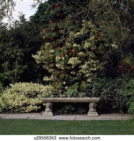 Stone bench in country garden in summer View Large Photo Image Stock Image - Stone bench in country garden in summer. Fotosearch