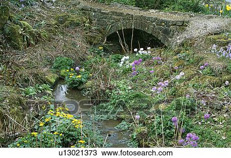 Stone bridge over stream with spring flowers on bank in country garden View Large Photo Image Stock Image - Stone bridge over stream with spring flowers on bank in country garden. Fotosearch