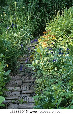 Stock Photography - Stone paved path in country garden in summer. Fotosearch