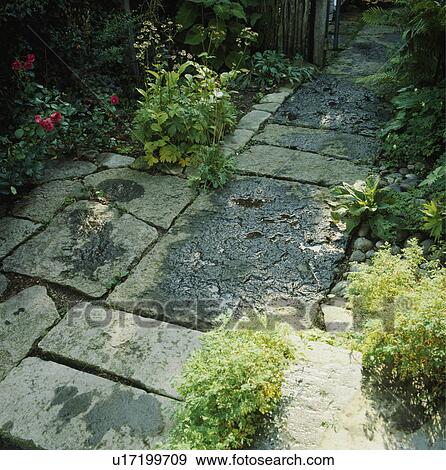 Stock Photo - Stone paving in country garden. Fotosearch